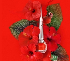 cl指甲油多少錢？cl紅底鞋指甲油專柜價格