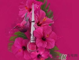 cl指甲油多少錢？cl紅底鞋指甲油專柜價格