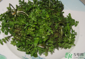 薺菜水有什么好處？薺菜水的功效與作用