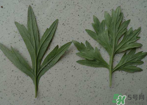 ?蒿子怎么去除苦味？?蒿子粑粑苦是什么原因？