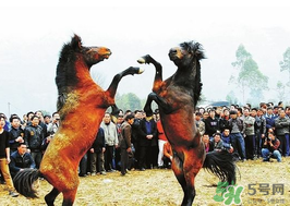 三月三有什么禁忌？三月三有什么講究？