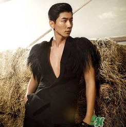 太平鳥是什么牌子？peacebird太平鳥是什么檔次？