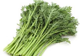 蒿子是發(fā)物嗎？蒿子是不是發(fā)物嗎？