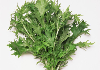 艾草是寒性的嗎？艾草是涼性的嗎？