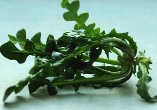 乙肝能吃薺菜嗎？乙肝病人可以吃薺菜嗎？