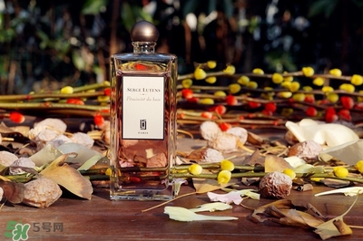 serge lutens蘆丹氏香水怎么用？蘆丹氏香水噴頭怎么按？