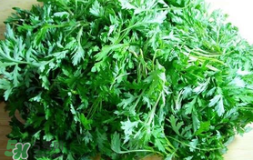 蒿子什么時(shí)候有？蒿子什么時(shí)候長(zhǎng)？