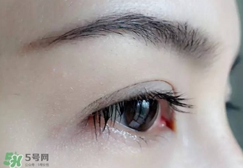 serge lutens蘆丹氏睫毛膏怎么樣？蘆丹氏睫毛膏好不好用？