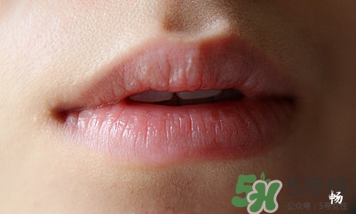 serge lutens蘆丹氏口紅怎么樣？蘆丹氏口紅是什么牌子