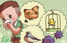 怎樣預(yù)防禽流感？如何預(yù)防禽流感