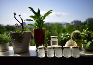 即食燕窩好嗎？即食燕窩和自己燉的哪種好？