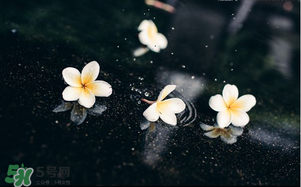 三月份為什么一直下雨？2017年三月份為什么雨多？