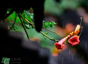 2017年梅雨季節(jié)是幾月？2017年梅雨季節(jié)是什么時(shí)候？