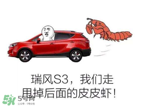 黃鱔為什么火了？黃鱔我們走為什么火了？