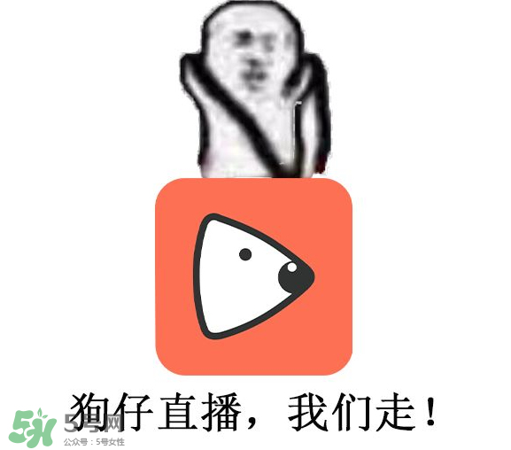黃鱔為什么火了？黃鱔我們走為什么火了？