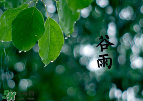 2017年谷雨是幾月幾號？2017年谷雨是哪一天？