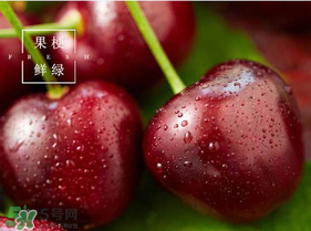 美早櫻桃多少錢一斤？美早櫻桃多少錢一斤2017？