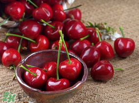 美早櫻桃多少錢一斤？美早櫻桃多少錢一斤2017？