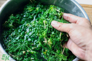 薺菜怎么腌制？薺菜的腌制方法