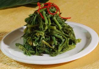 蕨菜什么人不能吃？哪些人不能吃蕨菜？