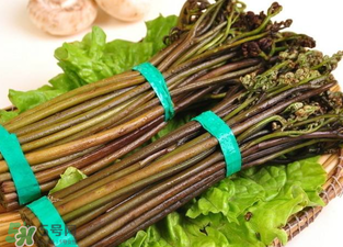 水蕨菜和山蕨菜哪個致癌？水蕨菜致癌是真的嗎？