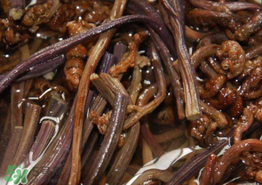 蕨菜能吃嗎？蕨菜可以吃嗎？