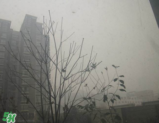 霧霾對孕婦有什么危害？霧霾對胎兒有影響嗎？