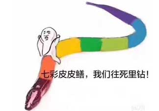 七彩皮皮鱔我們往死里鉆是什么意思？七彩皮皮鱔我們?nèi)€好地方是什么意思？