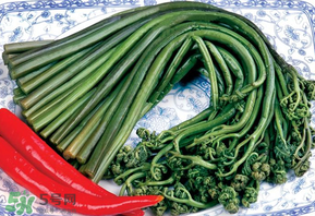 蕨菜有毒嗎？吃蕨菜會中毒嗎？