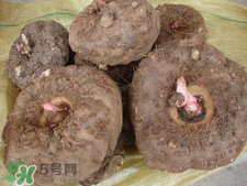 魔芋什么味道？怎么去除魔芋味道？