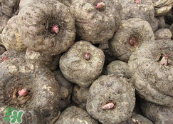 魔芋什么味道？怎么去除魔芋味道？