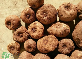 魔芋什么人不能吃？魔芋哪些人不能吃？