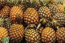 過敏性鼻炎可以吃菠蘿嗎？過敏性鼻炎能不能吃菠蘿？