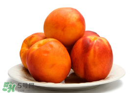 黃桃為什么那么貴？黃桃為什么這么貴？