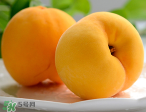 黃桃為什么那么貴？黃桃為什么這么貴？