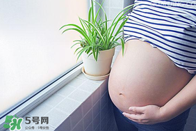 孕婦可以做美甲嗎？美甲對孕婦有什么影響？