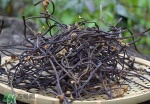 干蕨菜致癌嗎？干蕨菜致癌是真的嗎？