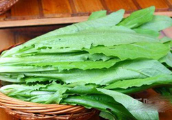 吃油麥菜可以減肥嗎？吃油麥菜能不能減肥？