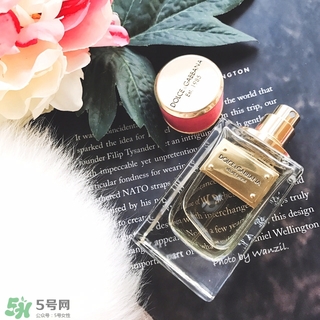 dolce gabanna香水哪款好聞？DG杜嘉班納香水推薦