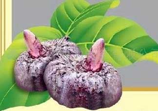 魔芋什么味道？怎么去除魔芋味道？