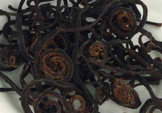 干蕨菜致癌嗎？干蕨菜致癌是真的嗎？