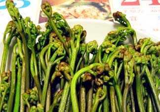 蕨菜有毒嗎？吃蕨菜會中毒嗎？