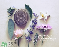 2017固體香膏哪個牌子好？2017固定香膏排行榜