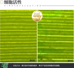 cpb保濕露多少錢？cpb保濕露專柜價(jià)格