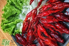 蝦尾是死了的小龍蝦嗎？蝦尾和小龍蝦的區(qū)別