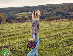 boyy皮帶包正品多少錢？boyy方扣包專柜價格