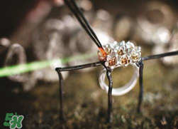 潘多拉2017春季新品好看嗎？pandora2017春季新款珠寶怎么樣？