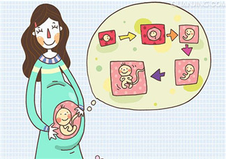 孩子的相貌遺傳誰的？孩子的相貌是遺傳爸爸嗎？