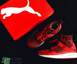 puma襪子鞋尺碼怎么選？彪馬襪套鞋尺碼對照表