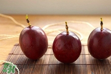 青的百香果可以悶熟嗎？百香果青的能吃嗎？